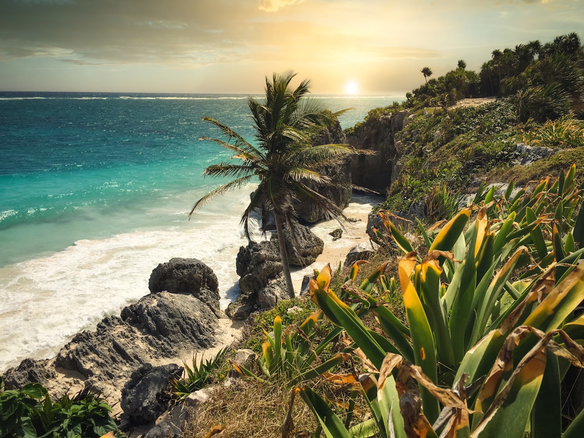 When people ask how we afford to travel so much... I just smile. The vacation certificate program changed everything for us. 5 nights for what most people pay for 1.